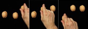 The 3 Shell Game Tutorial - Everything You Need To Know