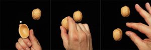 The 3 Shell Game Tutorial - Everything You Need To Know
