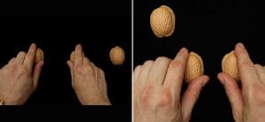 The 3 Shell Game Tutorial - Everything You Need To Know